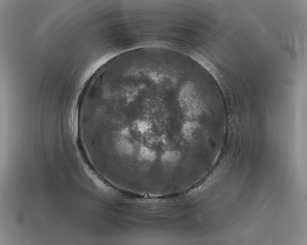 X0000115601127200911101400