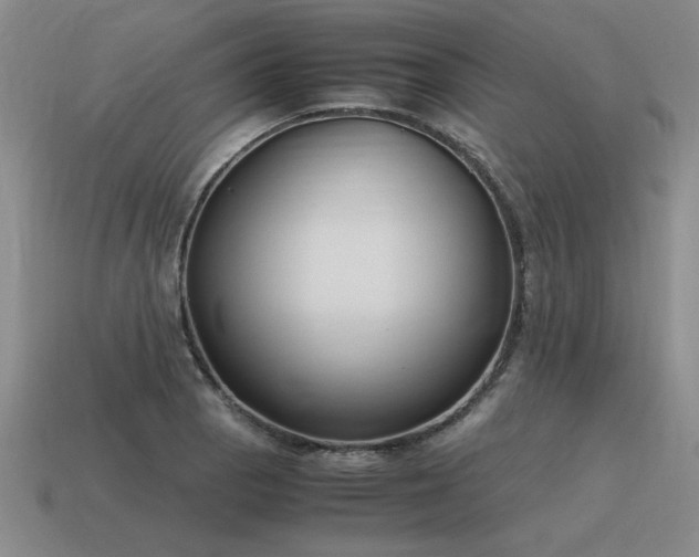 X0000115601129200911101400