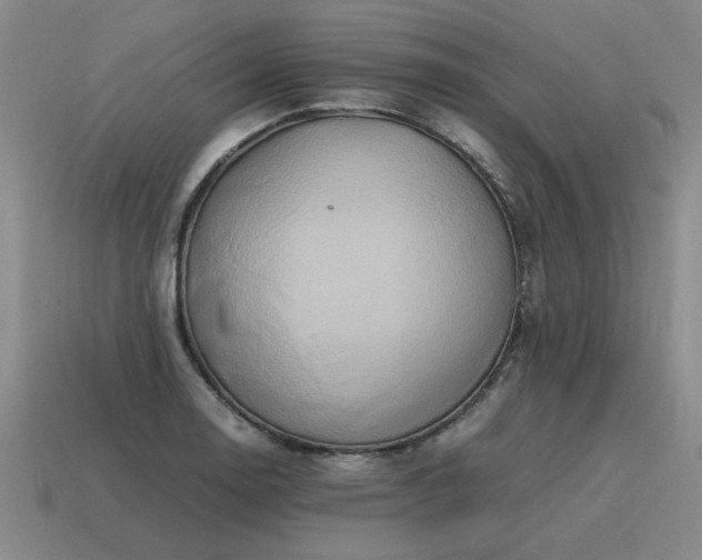 X0000115601130200911101400