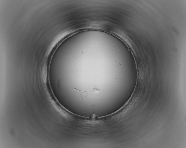 X0000115601131200911101400