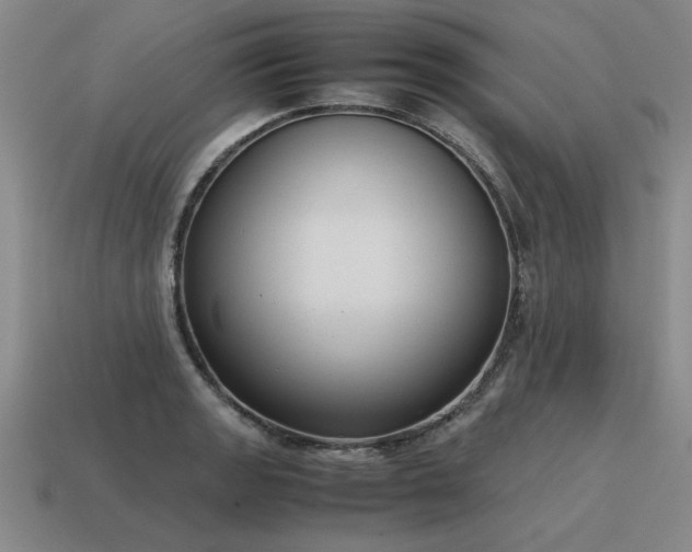 X0000115601133200911101400