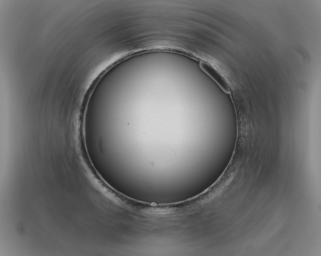 X0000115601134200911101400