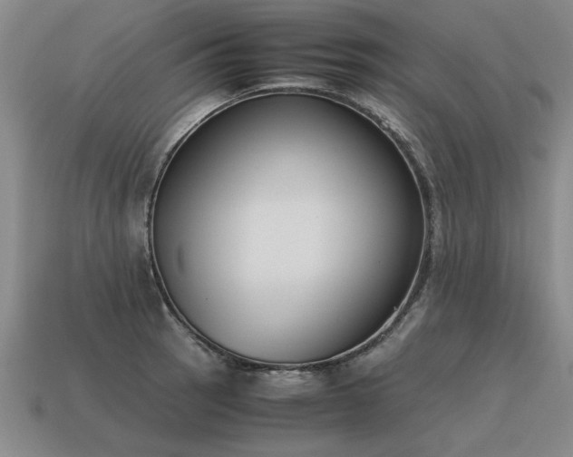 X0000115601137200911101400