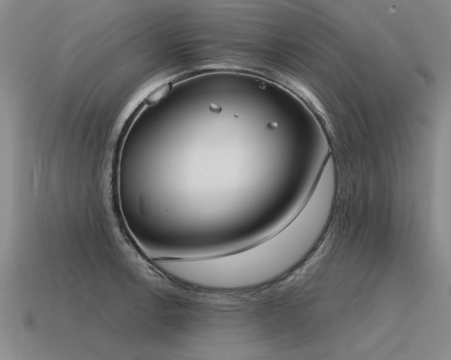 X0000115601138200911101400