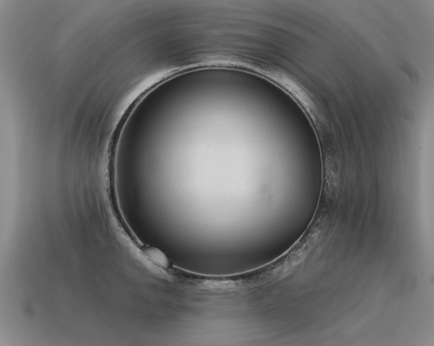 X0000115601142200911101400