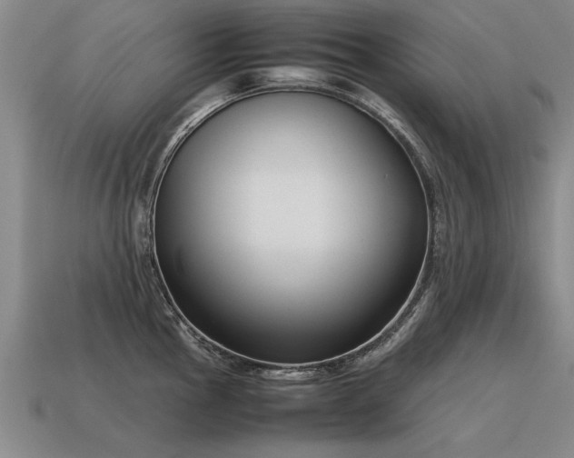X0000115601145200911101400