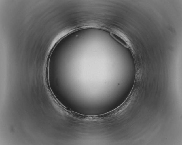 X0000115601146200911101400