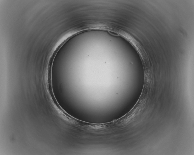 X0000115601147200911101400