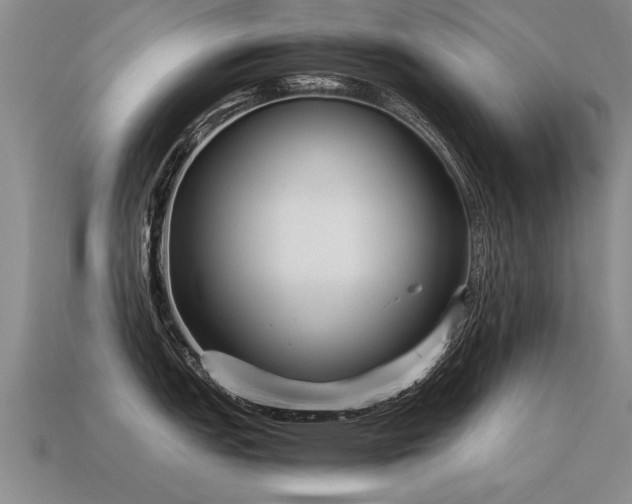X0000115601151200911101400