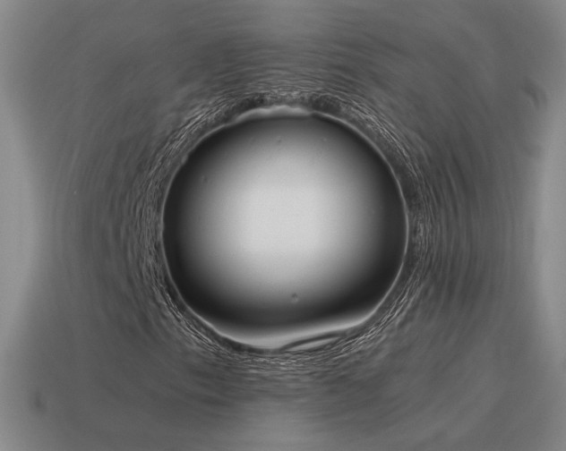 X0000115601153200911101359