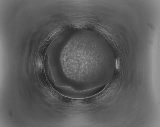 X0000115601155200911101359