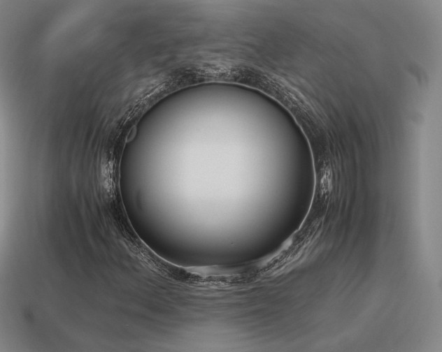 X0000115601156200911101359