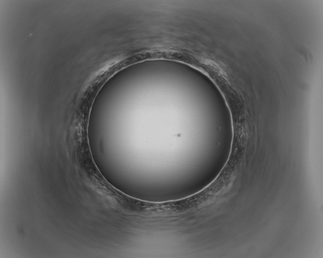 X0000115601159200911101359