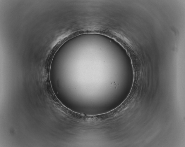 X0000115601160200911101359