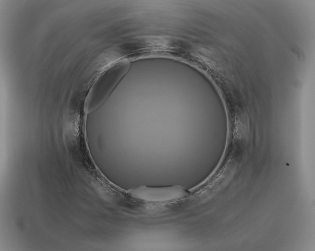 X0000115601161200911101359