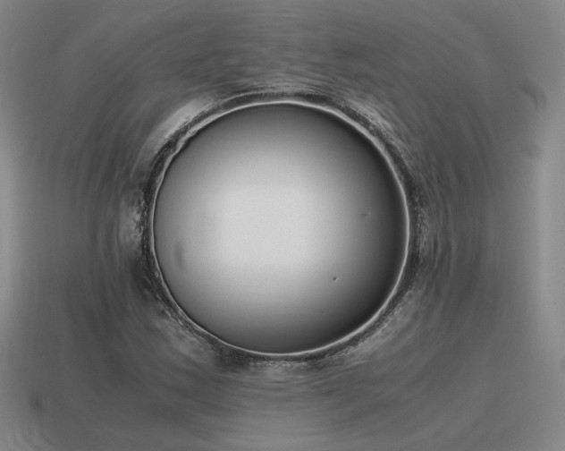 X0000115601163200911101359