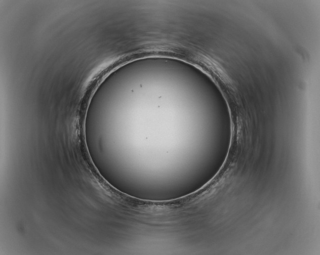X0000115601164200911101359