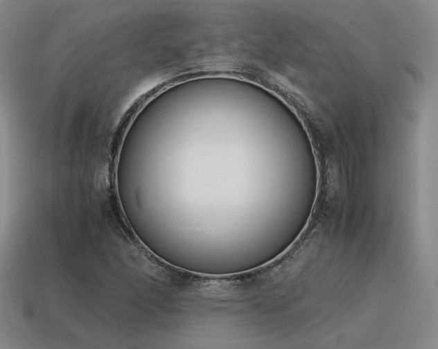 X0000115601166200911101359