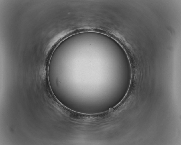 X0000115601167200911101359