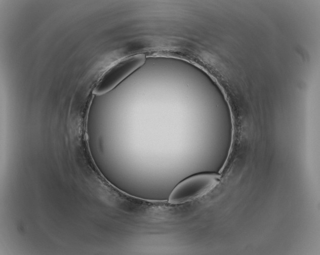 X0000115601169200911101359