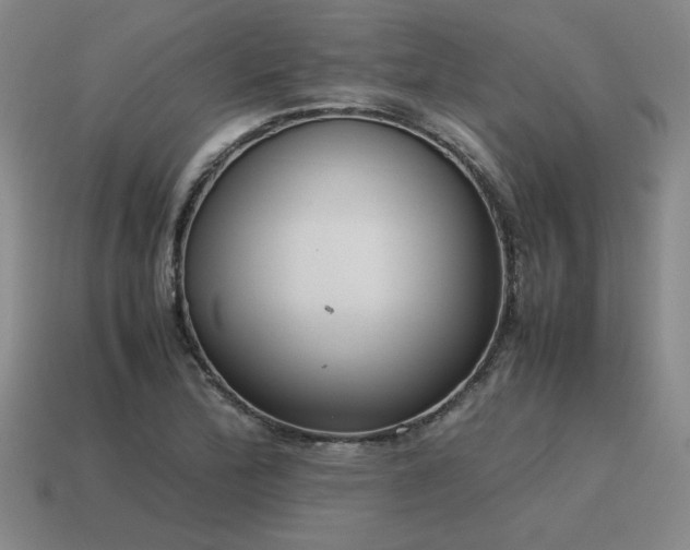 X0000115601172200911101359