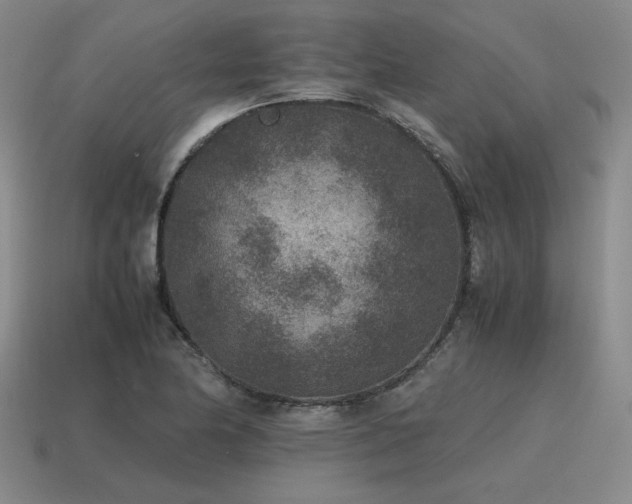 X0000115601174200911101359