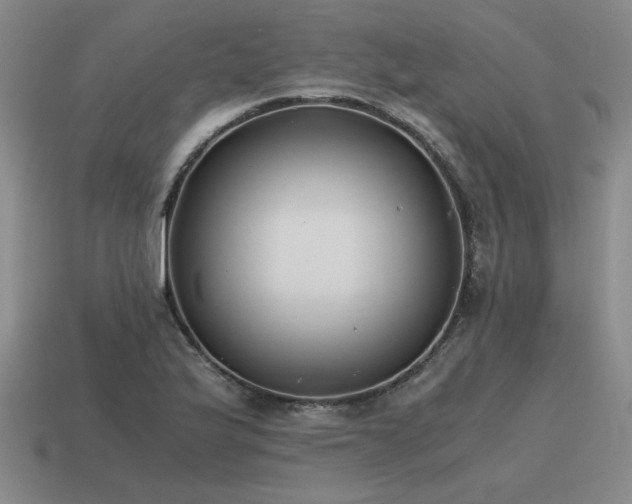 X0000115601175200911101359