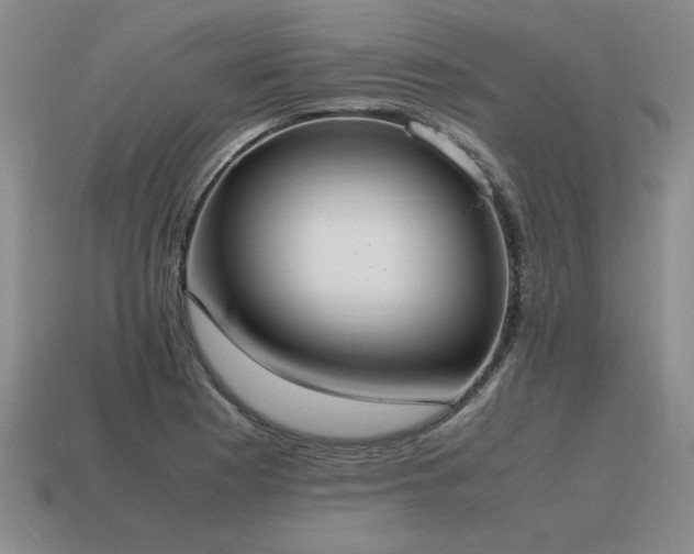X0000115601177200911101359