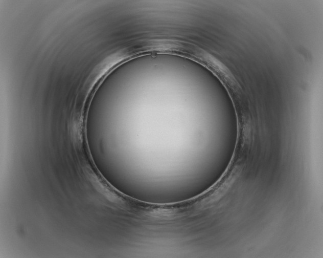 X0000115601178200911101359