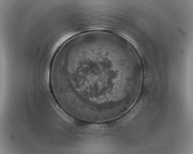 X0000115601179200911101359