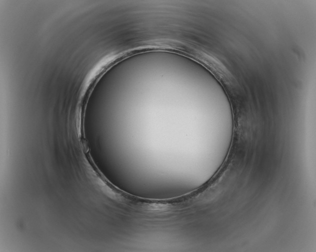 X0000115601180200911101359