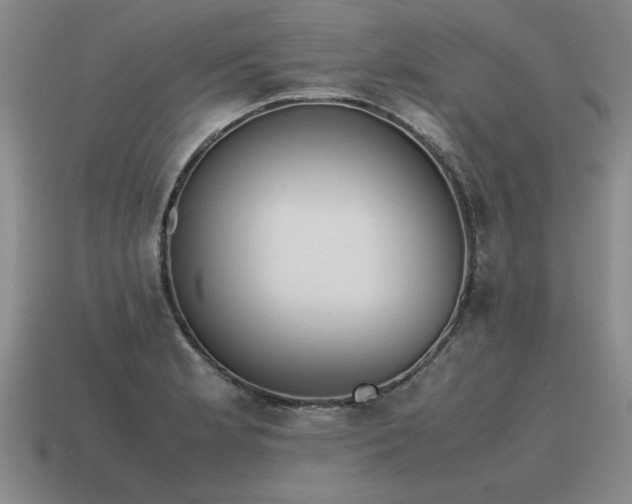 X0000115601181200911101359