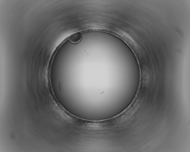 X0000115601182200911101359