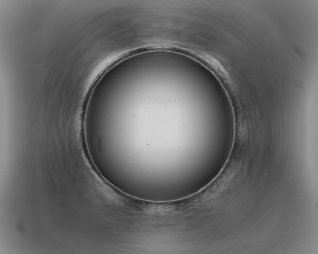 X0000115601183200911101359
