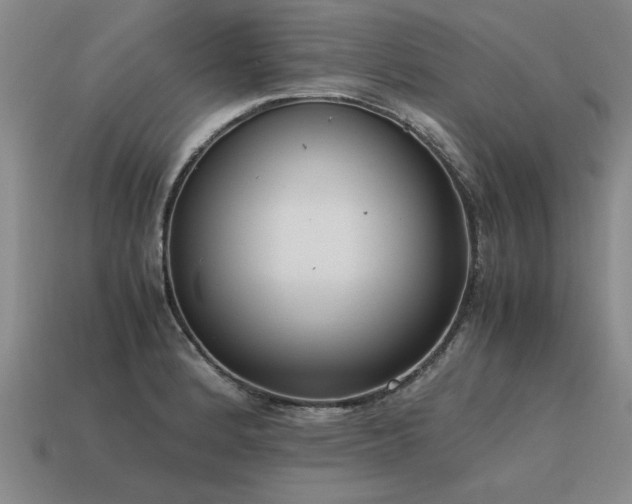 X0000115601184200911101359