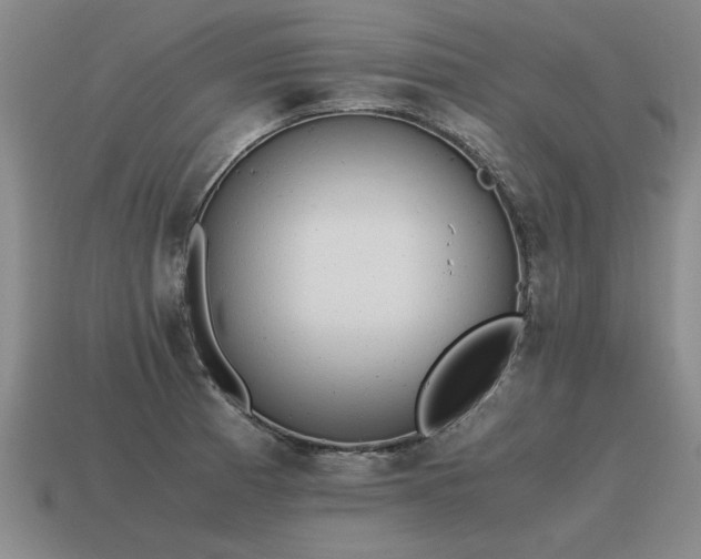 X0000115601185200911101359