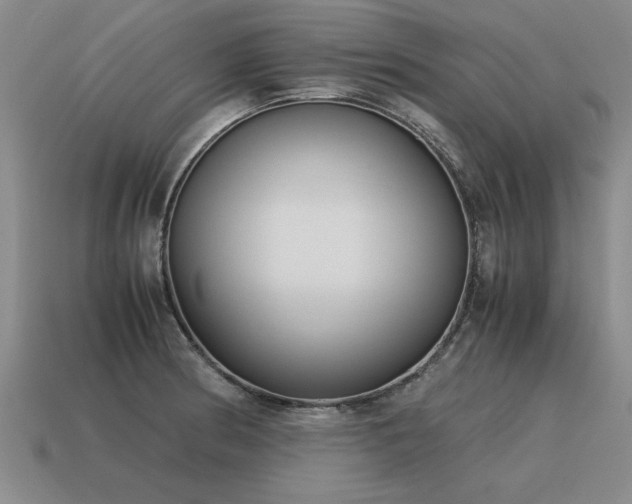 X0000115601186200911101359