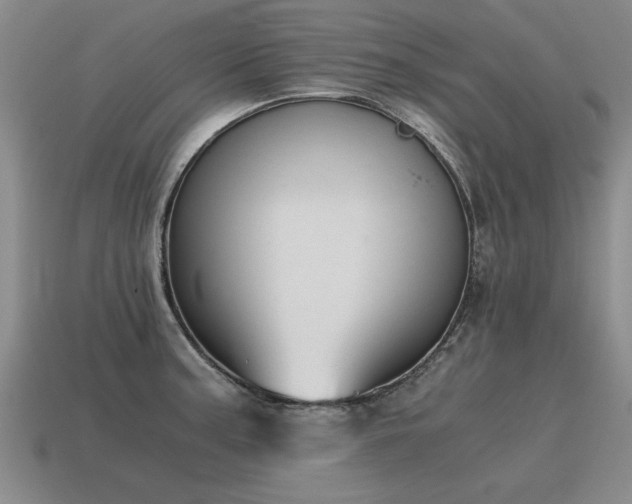 X0000115601187200911101359