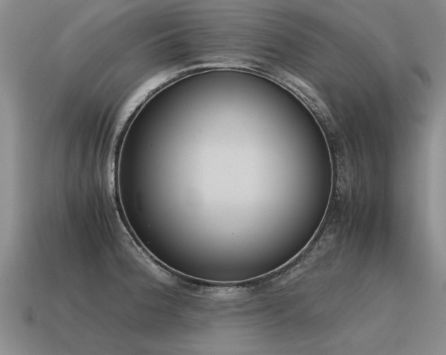 X0000115601188200911101359