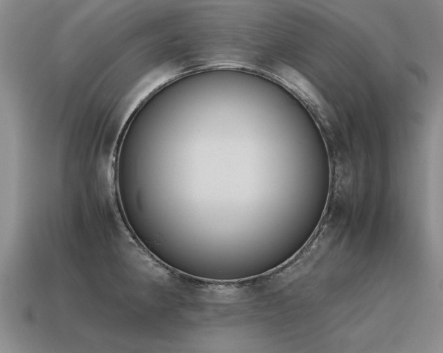 X0000115601190200911101359