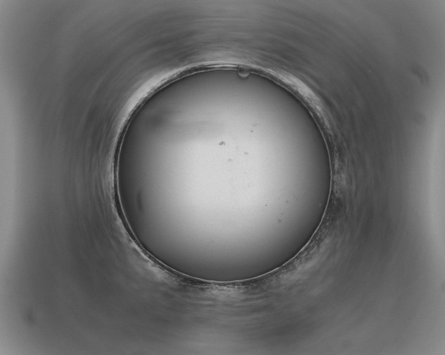 X0000115601191200911101359