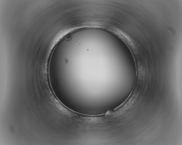 X0000115601192200911101359