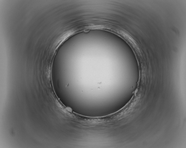 X0000115601193200911101359