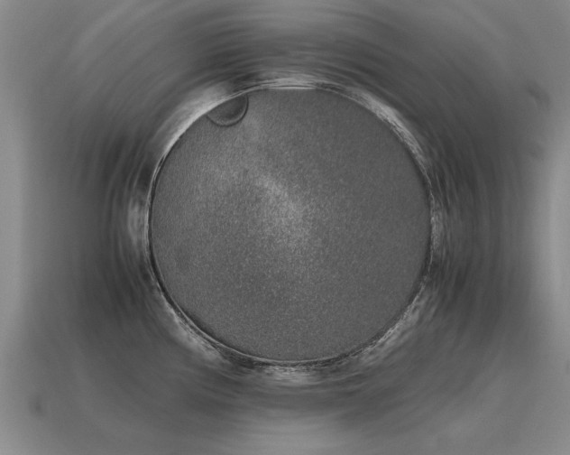 X0000115601194200911101359