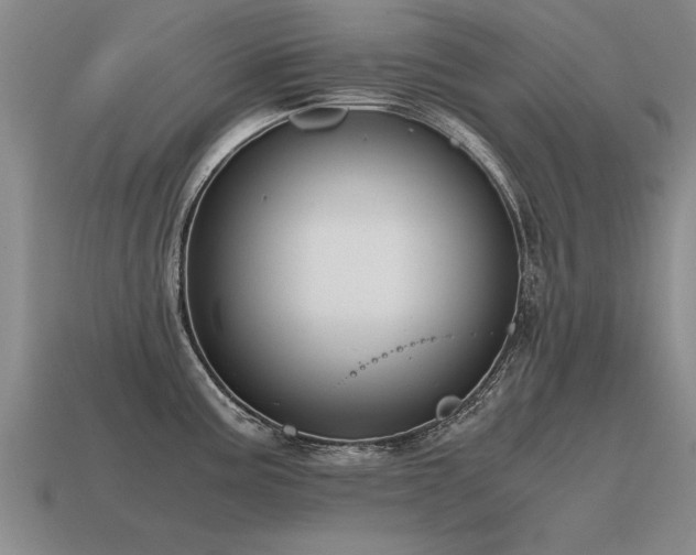 X0000115601195200911101359