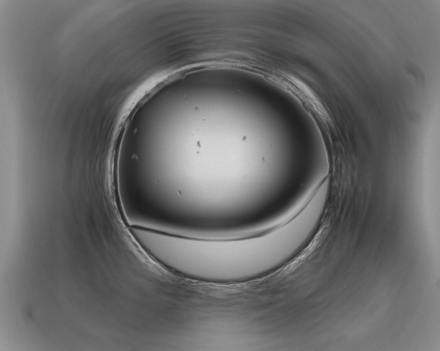 X0000115601196200911101359