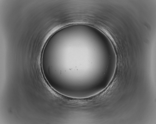 X0000115601197200911101359