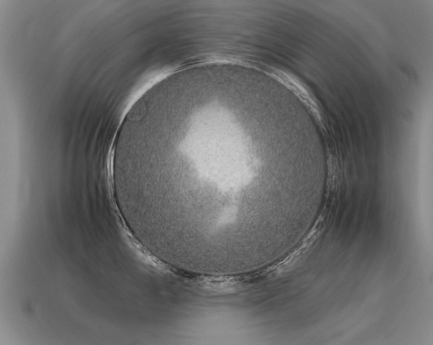 X0000115601198200911101359