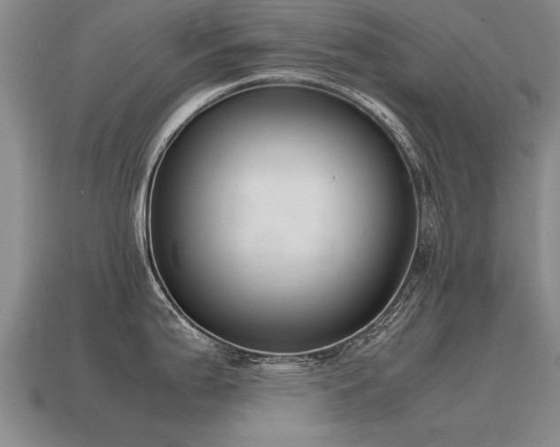 X0000115601199200911101359