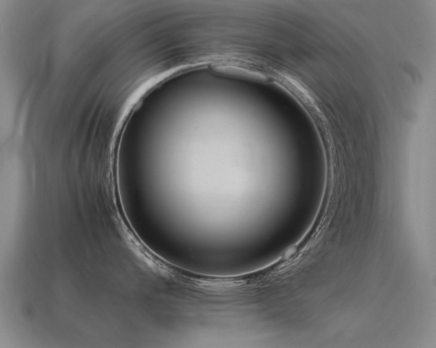 X0000115601200200911101359